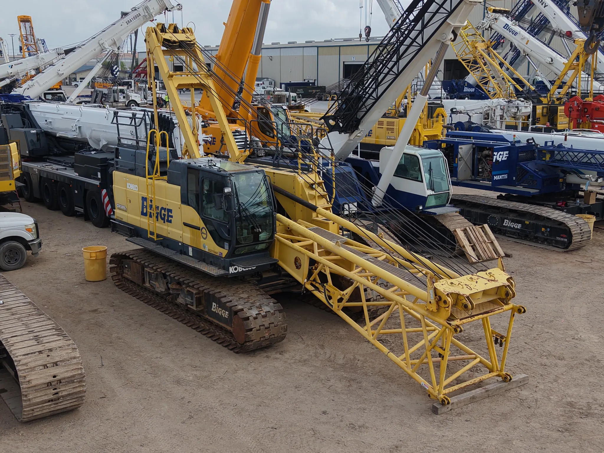 Dji fly 20260402 090334 0569 1775144712942 photo