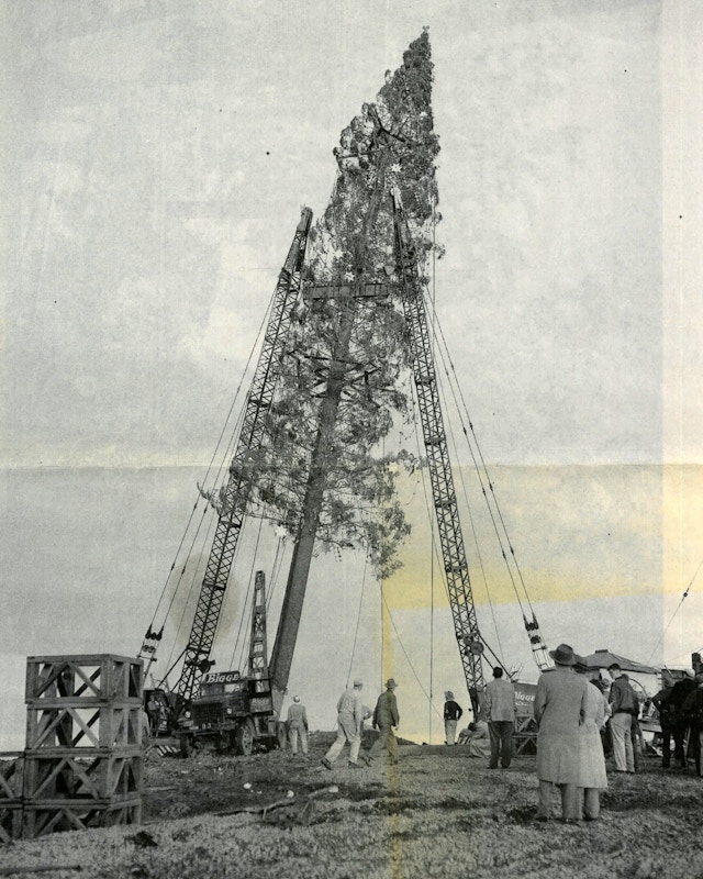 1950 - Christmas tree tilt-up